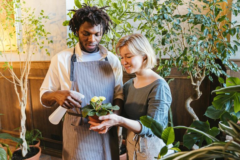 Consejos prácticos para cuidar y mantener plantas de interior saludables